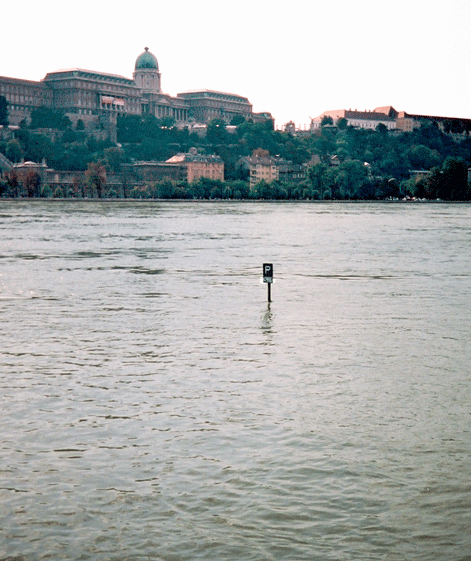 danube in flood, budapest